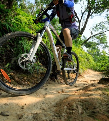 cross-country-biking-woman-cyclist-riding-mountain-bike-on-tropical-rainforest-trail-e1674740664313.jpg